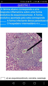 captura de tela do labmorfoquiz
